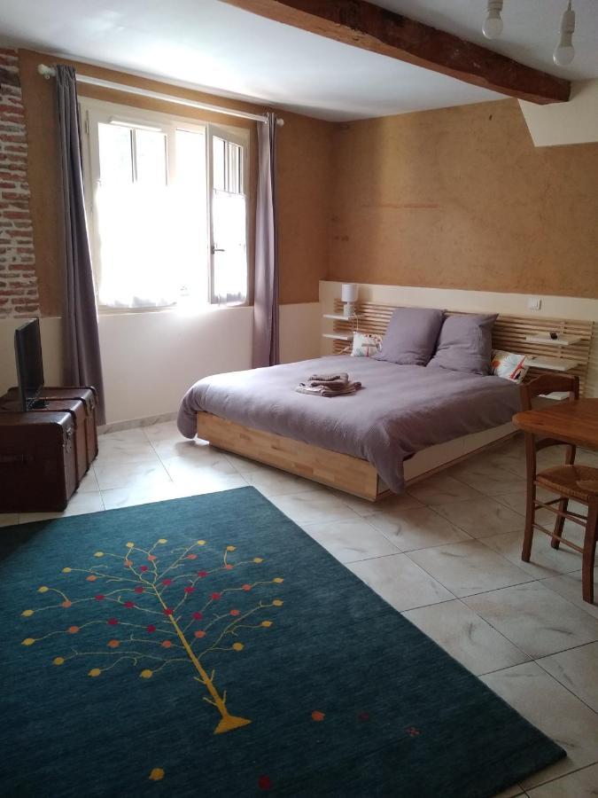 Au Coeur De Montastruc-La-Conseillere - Chambres D'Hotes Ngoại thất bức ảnh